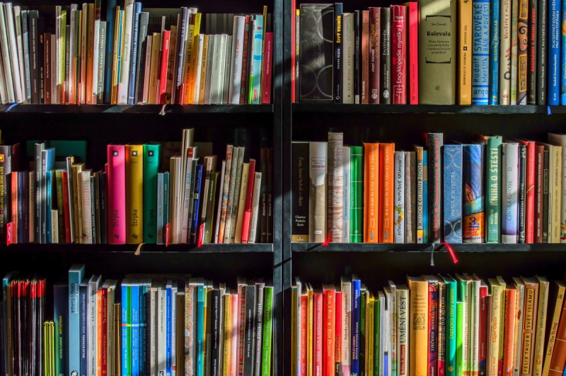 ecommerce-ILONSE-min_books_bookstore_book_reading_shop_writer_sale_books_read-822866